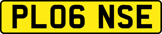 PL06NSE