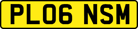PL06NSM