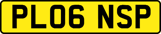 PL06NSP