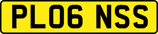PL06NSS