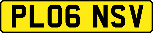 PL06NSV