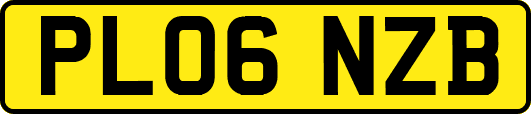 PL06NZB