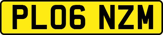 PL06NZM