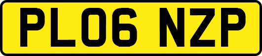PL06NZP