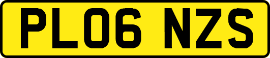 PL06NZS