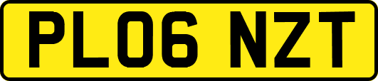 PL06NZT