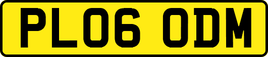 PL06ODM