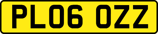 PL06OZZ
