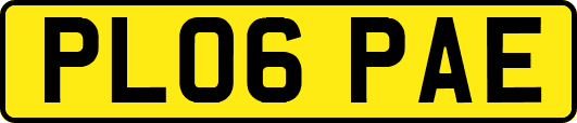 PL06PAE
