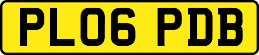PL06PDB