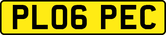 PL06PEC