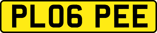 PL06PEE