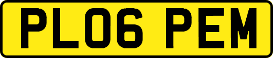PL06PEM
