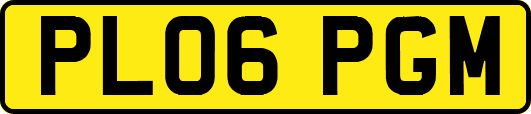 PL06PGM
