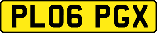 PL06PGX