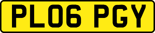 PL06PGY