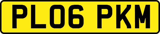 PL06PKM