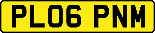 PL06PNM