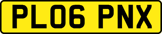 PL06PNX