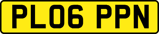 PL06PPN