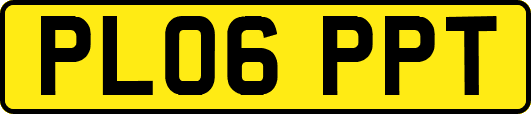 PL06PPT