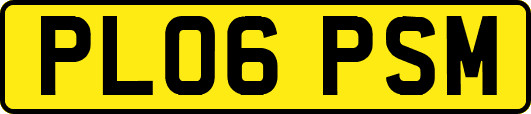PL06PSM