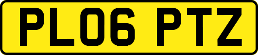 PL06PTZ