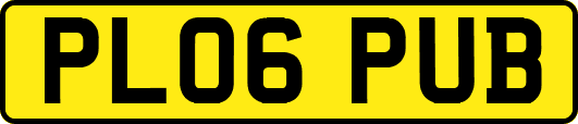 PL06PUB