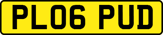 PL06PUD