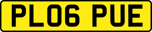 PL06PUE