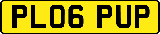 PL06PUP