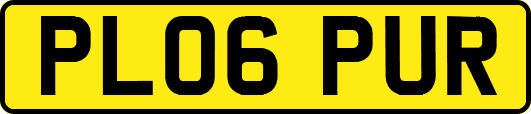 PL06PUR