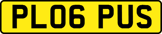 PL06PUS