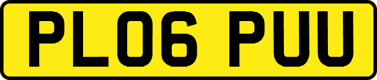 PL06PUU