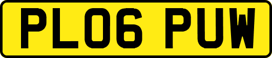 PL06PUW