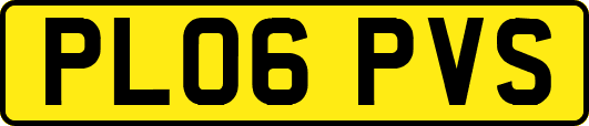 PL06PVS