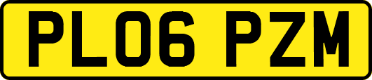PL06PZM