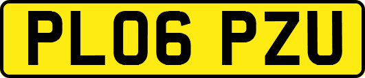 PL06PZU