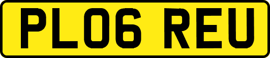 PL06REU