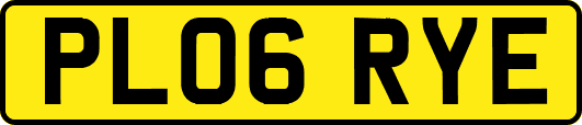 PL06RYE