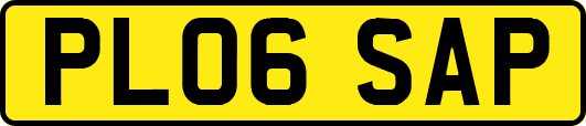 PL06SAP