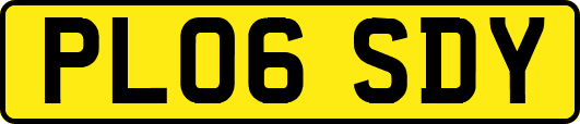 PL06SDY
