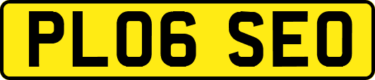 PL06SEO