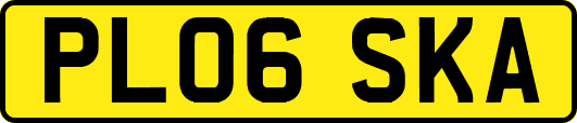 PL06SKA