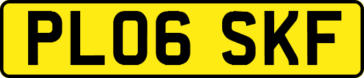PL06SKF