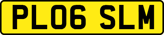 PL06SLM
