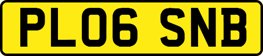PL06SNB