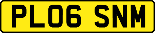 PL06SNM