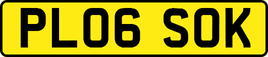 PL06SOK