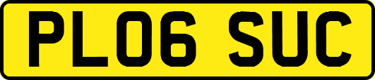 PL06SUC